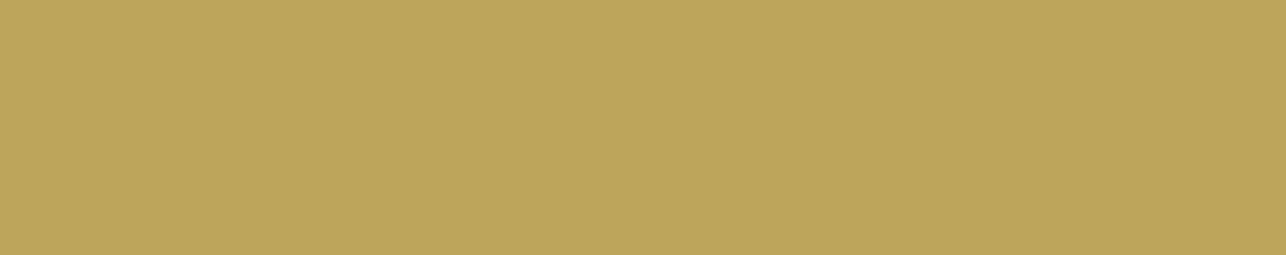 Rectangle 60.png
